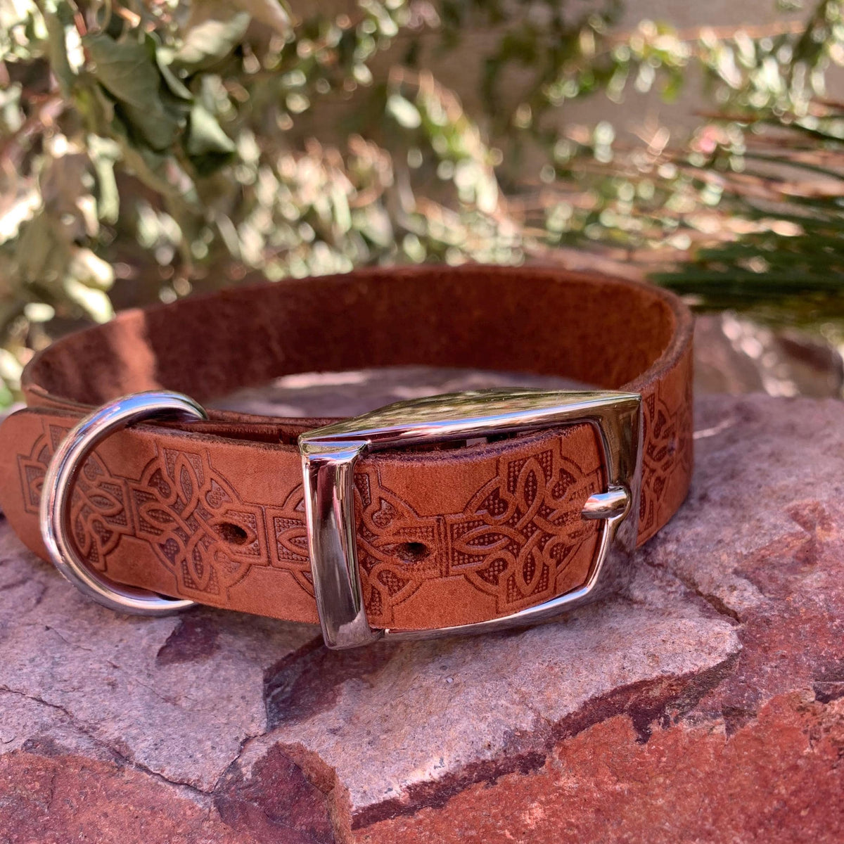 Brown leather collar with Celtic knots.