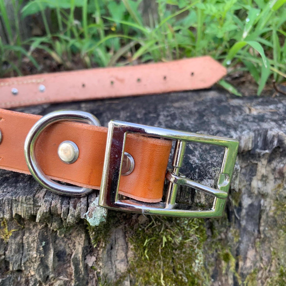 Leather pet collar with studs and hand stitching.