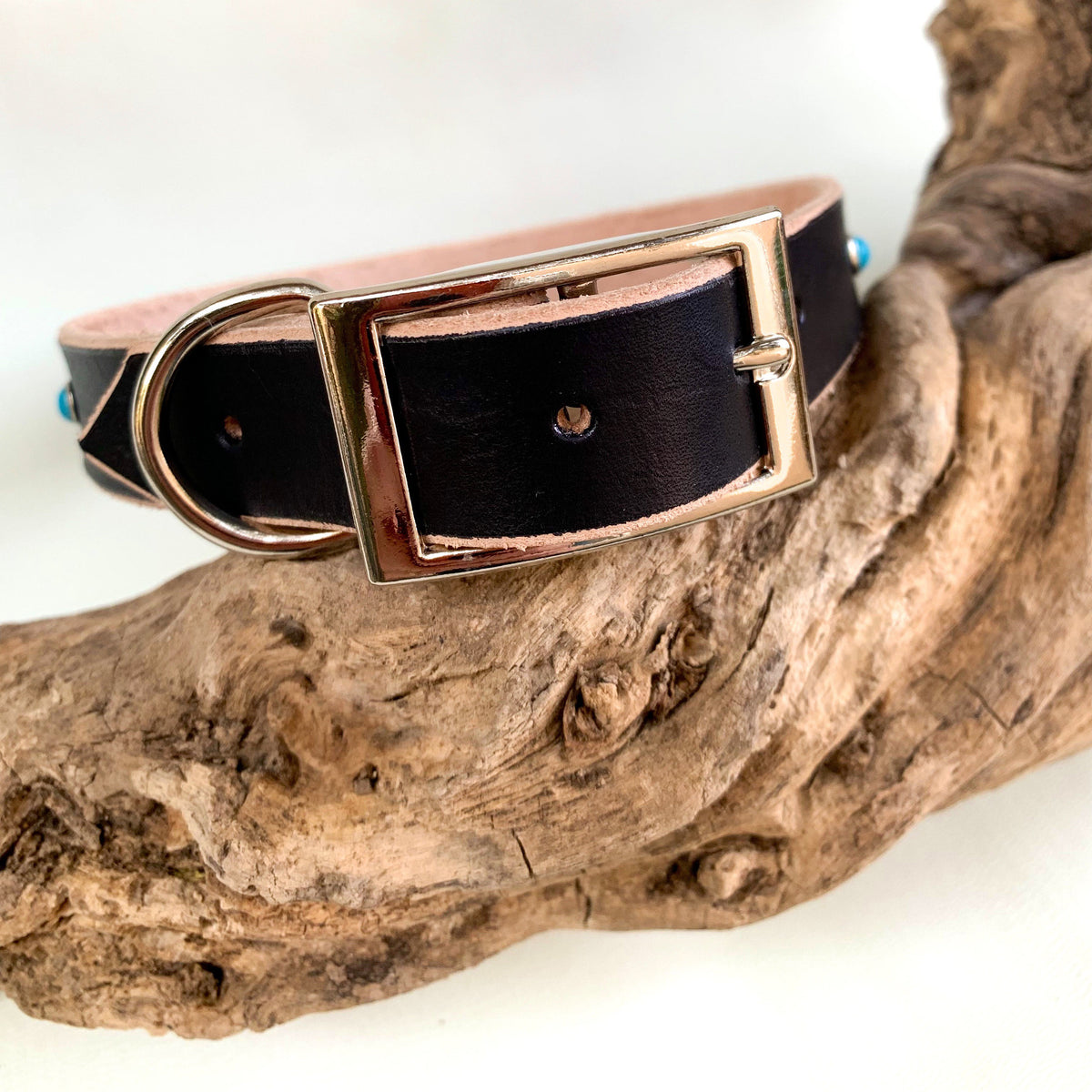 Black leather collar with a silver buckle and d-ring.