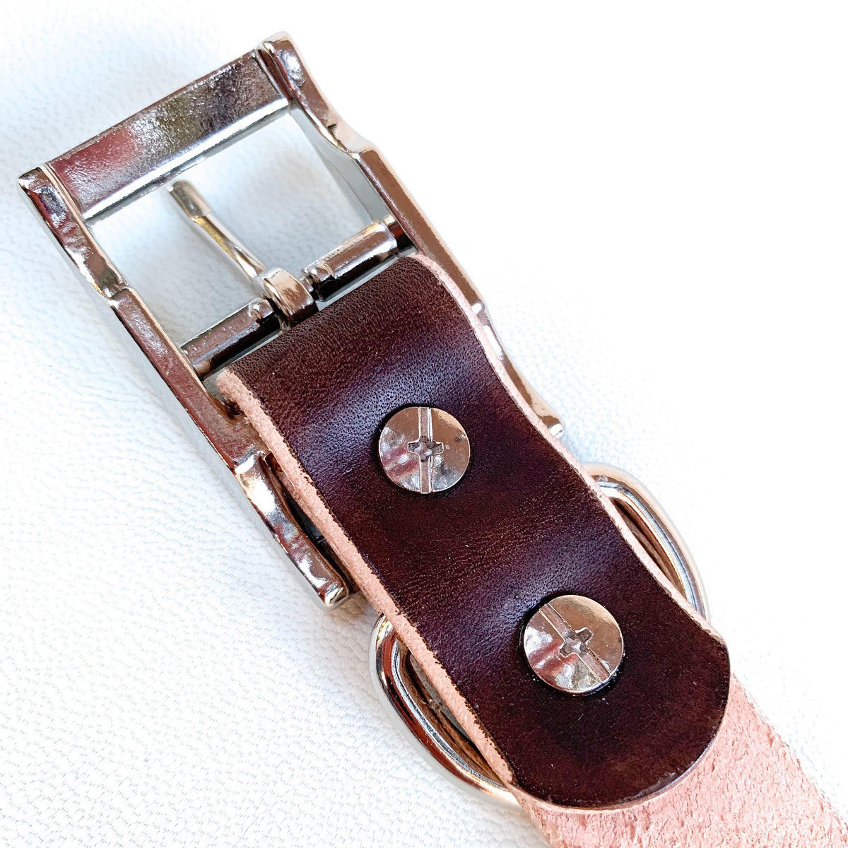 Brown leather dog collar with silver buckle.