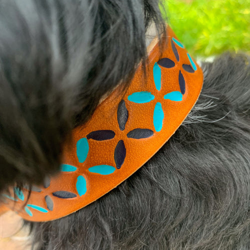 Dog wearing a colorful leather dog collar that is hand painted dark blue and teal.