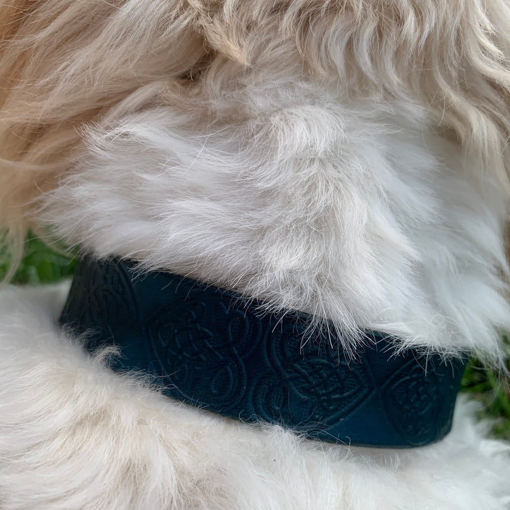 Teal Leather Dog Collar Embossed With Celtic Hearts