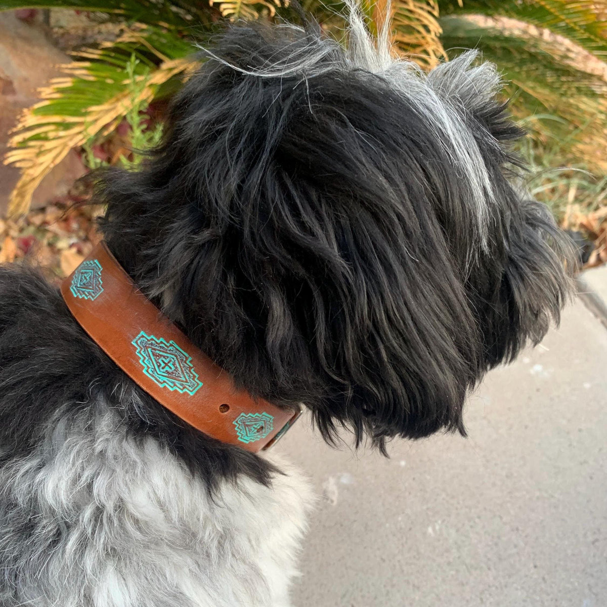 Western style dog collar featuring brown and teal diamond design.