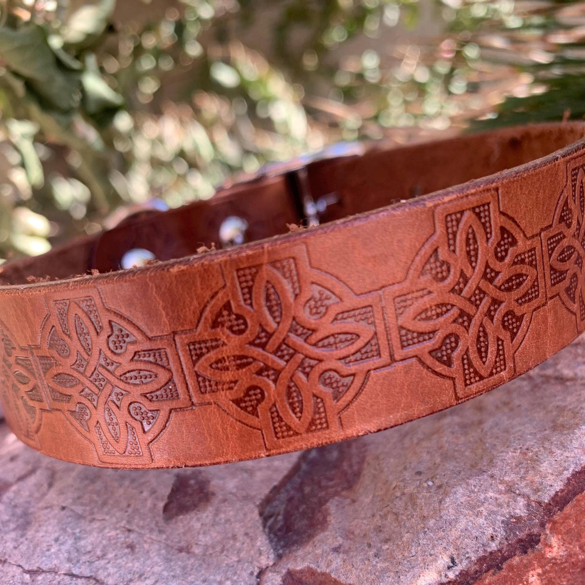 Brown leather collar with Celtic knots.