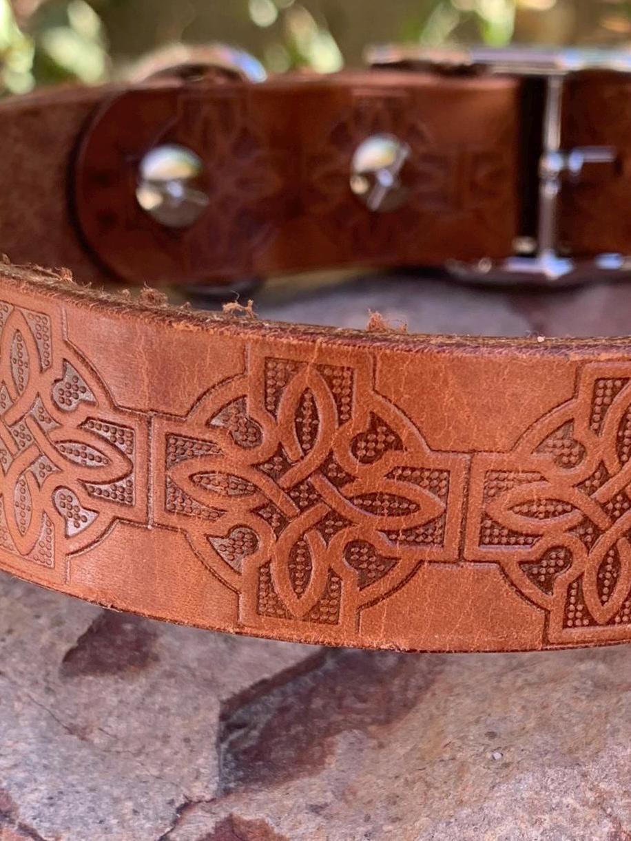 Brown leather collar with Celtic knots.