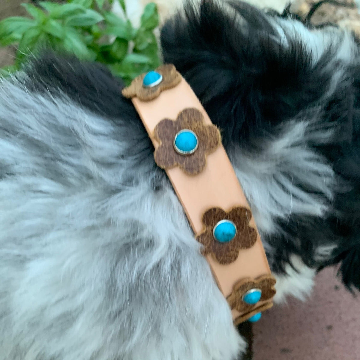 Pretty brown flower dog collar with turquoise stones.
