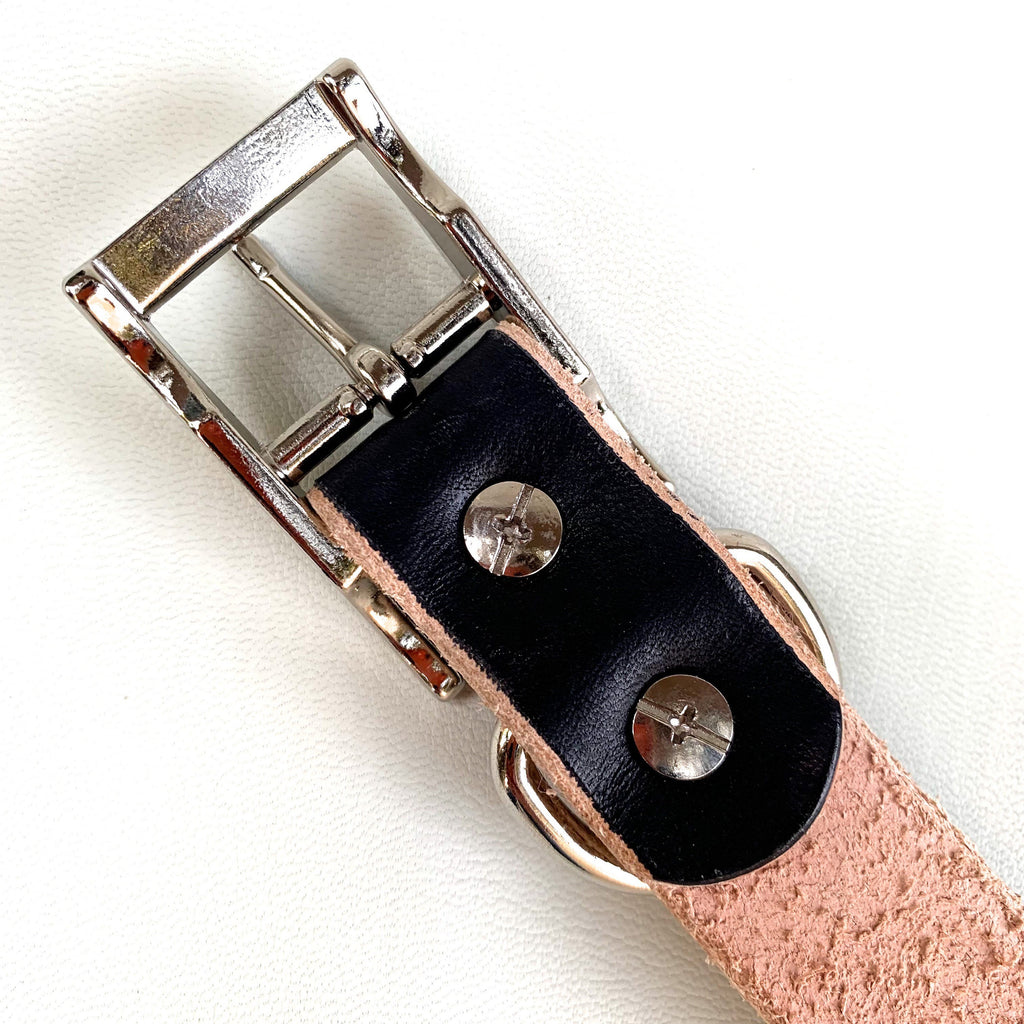 A close-up of a black leather collar with a polished silver-tone metal buckle, and two silver rivets, shown on a white textured background.