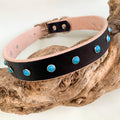 A black leather dog collar with silver-tone hardware, decorated with round turquoise blue stone studs, displayed on a piece of driftwood.