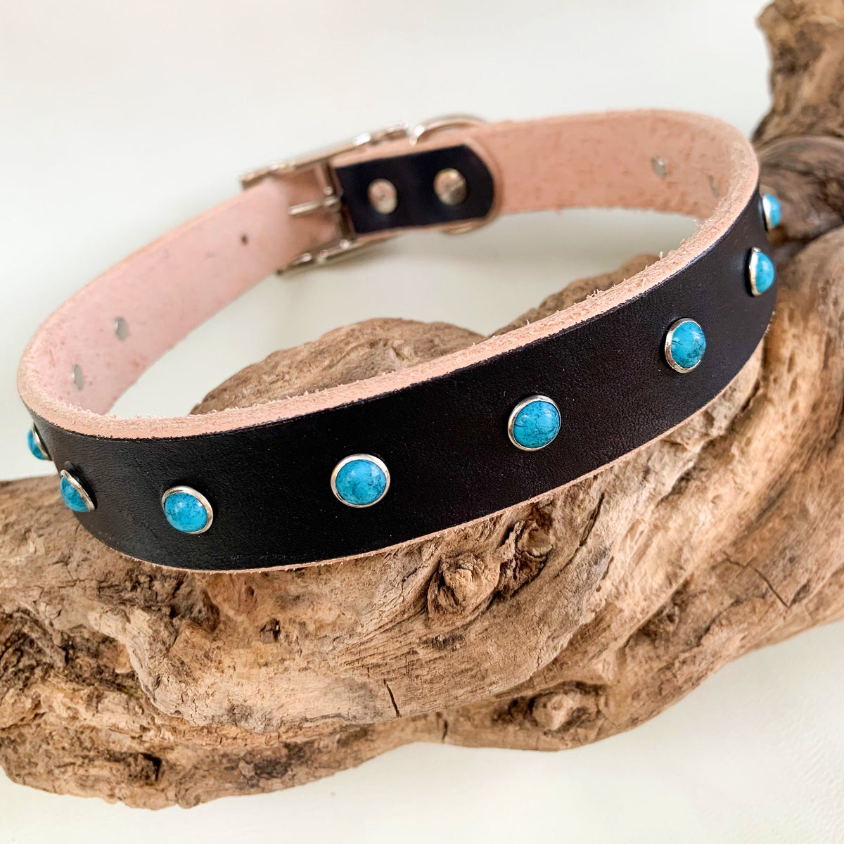 A black leather dog collar with silver-tone hardware, decorated with round turquoise blue stone studs, displayed on a piece of driftwood.