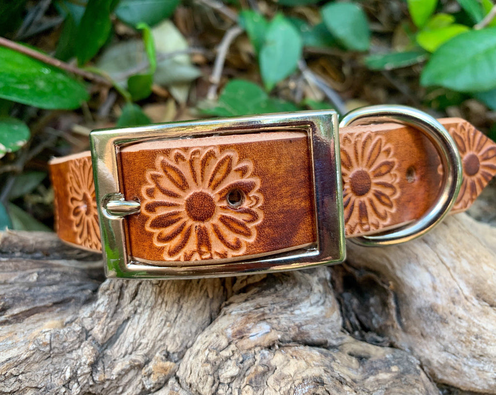 A brown leather dog collar with an embossed floral pattern and a silver-tone metal buckle, resting on a piece of weathered wood with green foliage in the background.