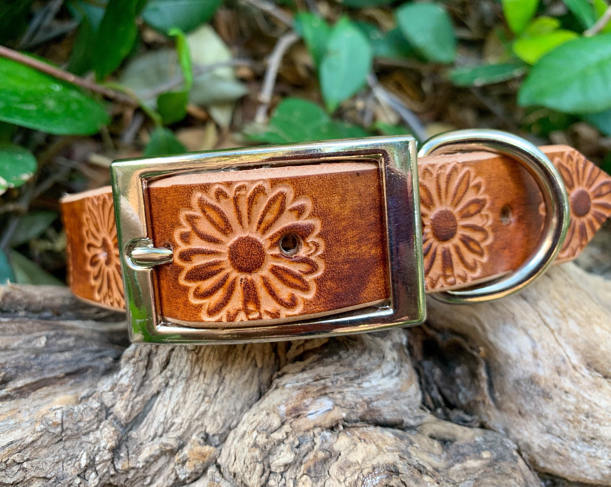 A brown leather dog collar with an embossed floral pattern and a silver-tone metal buckle, resting on a piece of weathered wood with green foliage in the background.