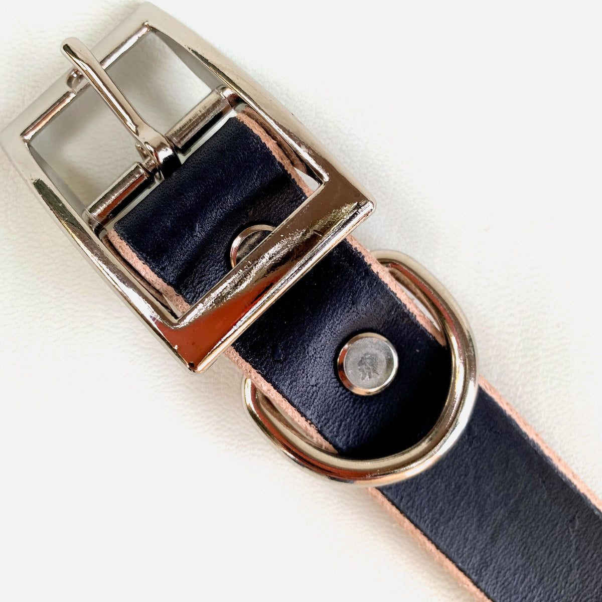 Close-up of a black leather dog collar with a polished silver-tone metal buckle and D-ring, shown on a light off-white textured background.